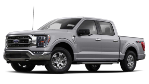 Ford F-150 XIV (P702)