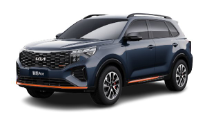 Kia Sportage Ace (NP)