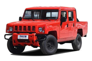 BAW Warrior Pickup
