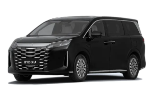 BYD Xia