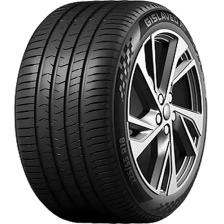 Gislaved Active Control 205/55 R17 95V  