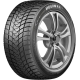 Delinte Winter WD1 225/45 R18 95H  