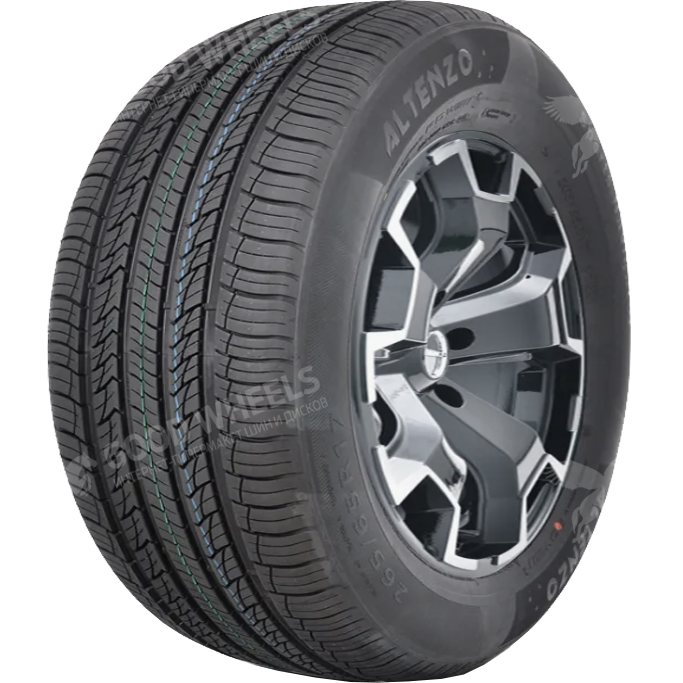 Altenzo Sports Navigator 285/30 R22 101W  