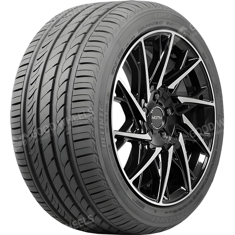 Delinte DH2